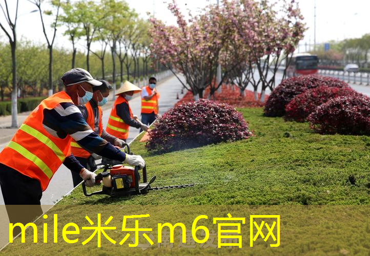 mile米乐m6官网：春秋常在，市政绿化景观草坪设计实现四季长青！