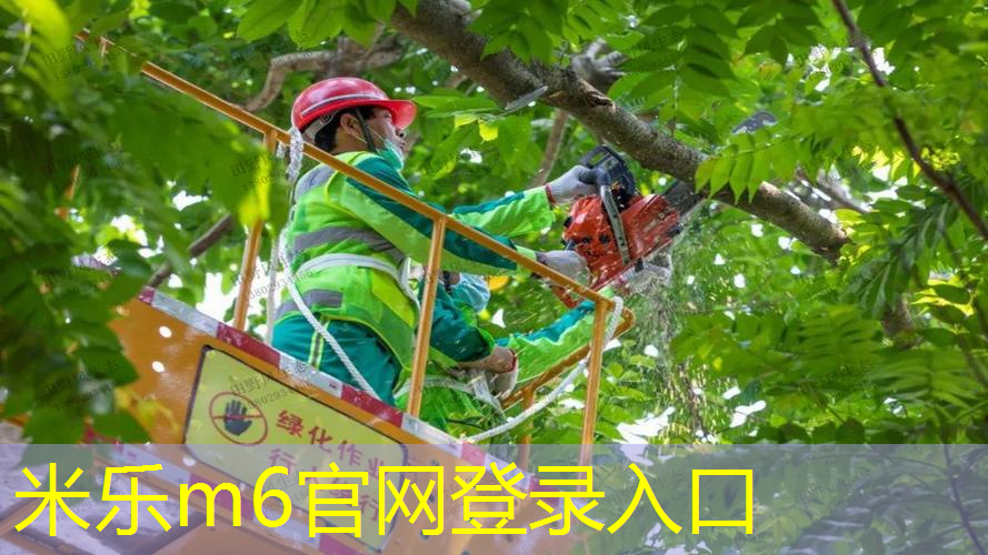 米乐m6官网登录入口：乒乓球台刷油怎么刷好