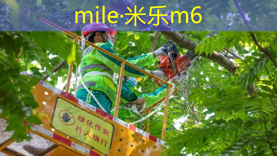 他们有一个网球拍吗_