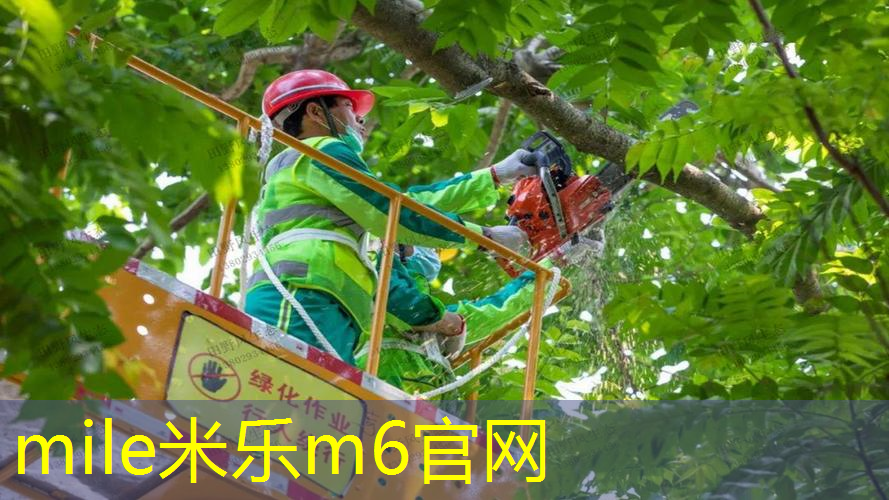 网球拍上卡扣怎么拆