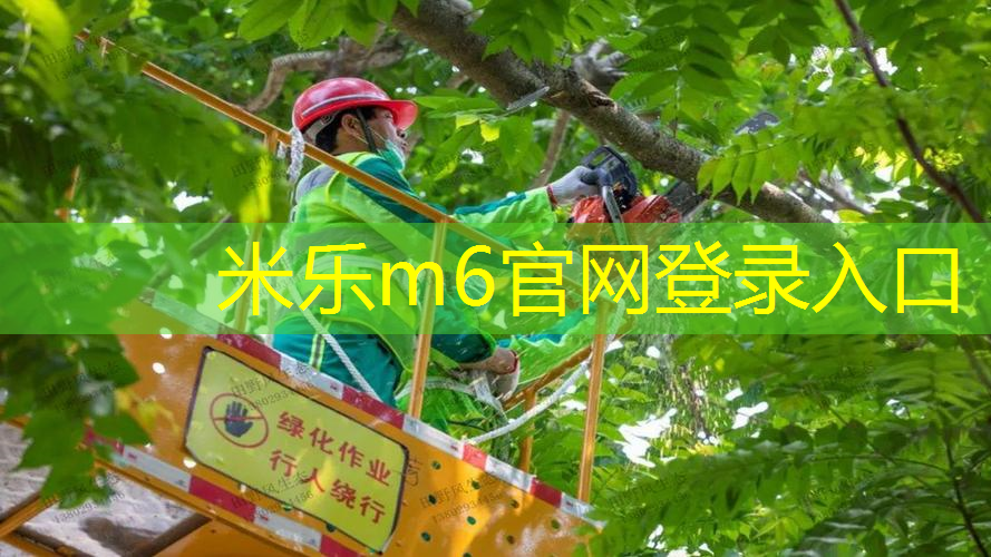 室内健身器材滑雪机怎么用