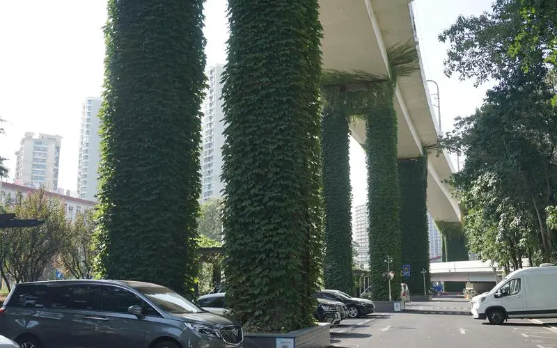 深圳篮球比赛跟拍器材