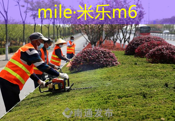 春秋常在，市政绿化景观草坪设计实现四季长青！