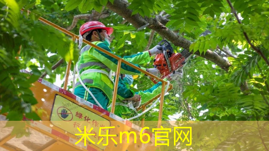 乒乓球台刷油怎么刷好